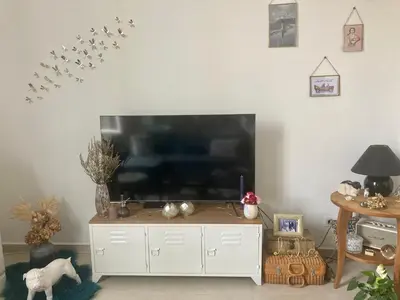 a living room with a large flat screen tv at Cannes congrès in Cannes