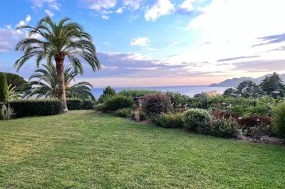 a palm tree in a garden with the ocean in the background at Le Seaview - Calm - Pool - Farniente - Sea view in Cannes