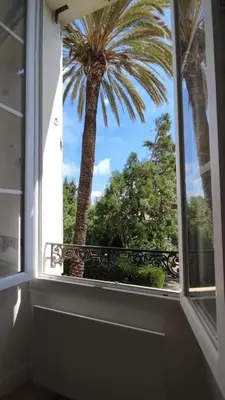 a window with a palm tree in a room at Studio rénové, vue dégagée et arborée, 700m plage in Cannes