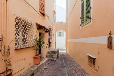 an alley with a door and a potted plant at 