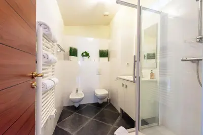 a white bathroom with a toilet and a shower at Exquisite 2-Br apartment 3 minutes from la Croisette in Cannes