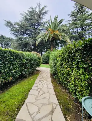 a stone path through a garden with a palm tree at Le cannois in Cannes