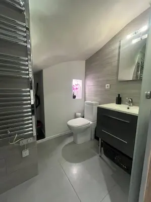 a bathroom with a toilet and a sink at Cannes, Loft 6 couchages proche centre et plages in Cannes