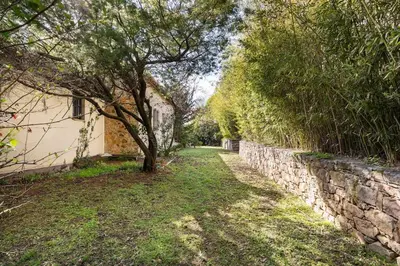 a tree in a yard next to a stone wall at Villa avec piscine à Cannes 7 bedrooms in Le Cannet