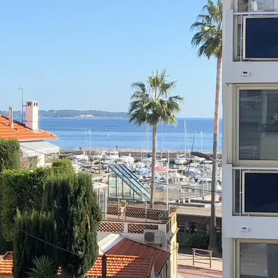 L'Hippocampe du Palm Beach