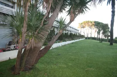 a lawn with palm trees next to a building at Château de la mer, by Welcome to Cannes in Cannes
