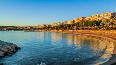 a beach with buildings and palm trees and water at Stunning condo with SEA VIEW Balcony & SWIMMING POOL in Cannes