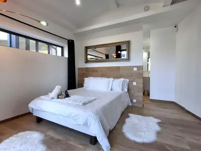 a bedroom with a bed with a mirror and two rugs at Villa Caribbean in Cannes
