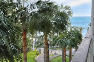 a view of the ocean and palm trees from a balcony at REF 1908 - Cannes Croisette - Apartment for rent in Cannes