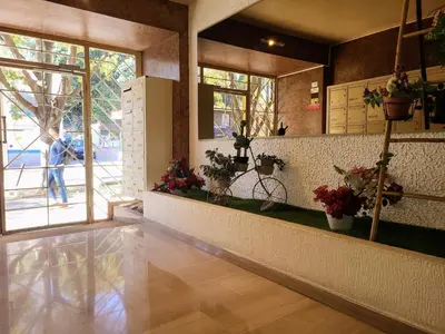 a lobby with plants on the counter and a person walking outside at Charmant 2 pièces, traversant, clim, wifi, parking in Cannes