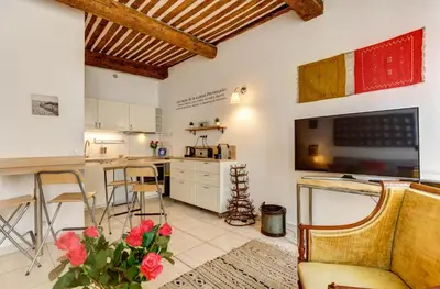 a kitchen and living room with a tv and a table at Cocoon'in Cannes Le Suquet in Cannes