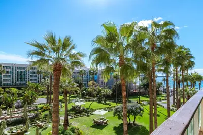 a view of a park with palm trees at REF 30 - Cannes Croisette - Sea and gardens view apartment for rent in Cannes