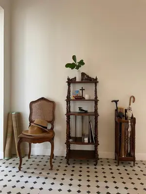 a room with a chair and a shelf with a plant at Palais Gothique in Cannes