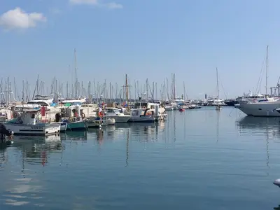 a bunch of boats are docked in a marina at Le Panoramique - Cannes - City Centre - Sea View - Swimming pool - Free Parking in Cannes