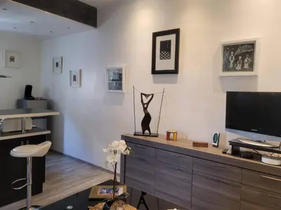a living room with a television and a cat statue at Villa Gustave, studio confort avec balcon Centre Cannes in Cannes