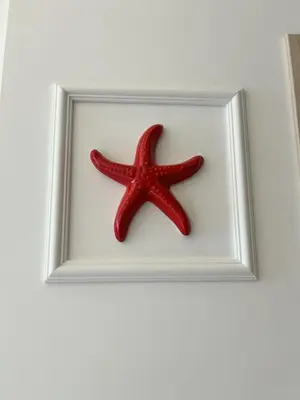 a red starfish in a picture frame on a wall at Le cœur de Cannes in Cannes