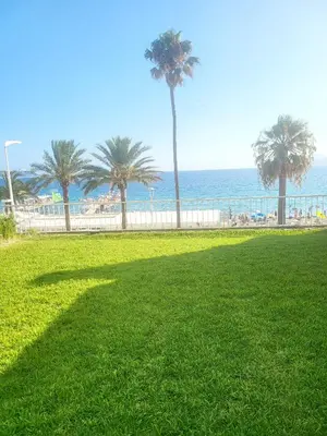 a grassy field with palm trees and the beach at Cannes apartment sea view - 18H in Cannes
