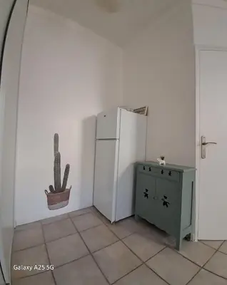 a room with a white refrigerator and a cactus in it at Emplacement idéal 450 métres du Palais croisette plage in Cannes