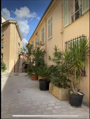 a row of potted plants in front of a building at Le Suquet - Château - Palais - Seaview - WIFI in Cannes