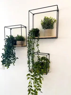 two shelves with potted plants on a wall at Calme et centrale avec balcon ensoleillé in Le Cannet