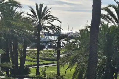 a group of palm trees with a marina in the background at Cannes Croisette Loft vue mer in Cannes