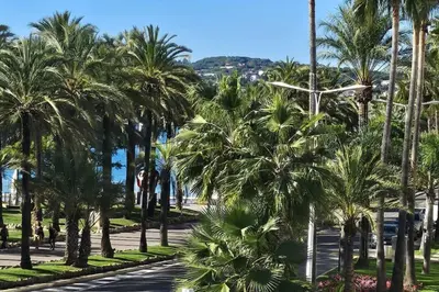 a street with palm trees in a park at Cannes Croisette Loft vue mer in Cannes