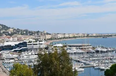 a group of boats docked in a harbor at cœur historique de cannes entre palais et mer in Cannes