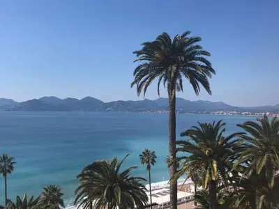 a view of a beach with palm trees and the ocean at Coeur de Cannes in Cannes