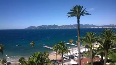 a view of a beach with palm trees and the ocean at Coeur de Cannes in Cannes