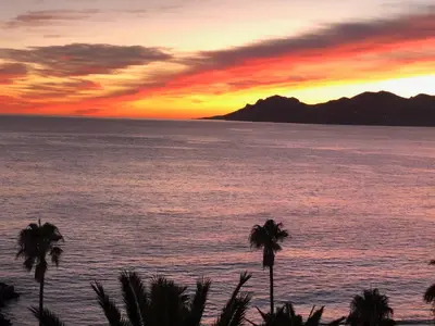 a sunset over the ocean with palm trees in the foreground at Coeur de Cannes in Cannes