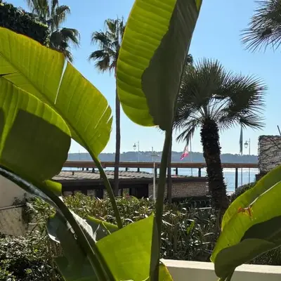 Palm Beach front de mer