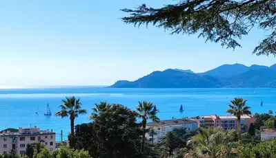 a view of a large body of water with palm trees at Appartement Vue Mer avec Piscine - Cannes in Cannes
