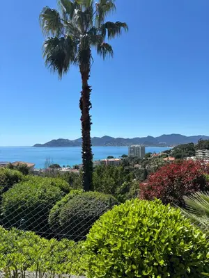 a palm tree and bushes with the ocean in the background at Appartement Vue Mer avec Piscine - Cannes in Cannes