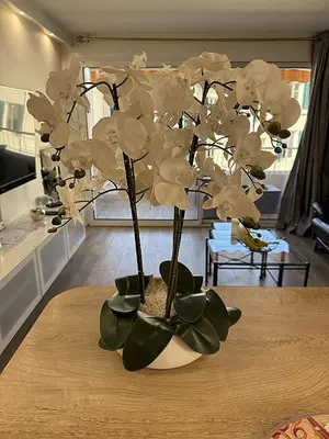 a vase filled with white flowers on a table at 