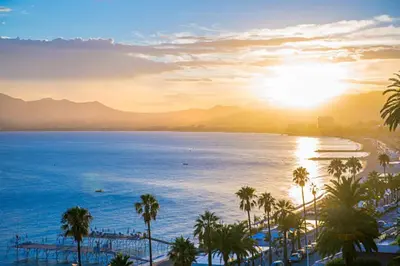 a view of a beach with palm trees and the ocean at REF 1971- Apartment for rent basse Californie in Cannes