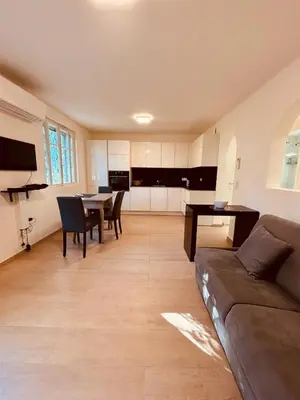 a large living room with a couch and a table at Agréable 2 pièces avec terrasse et jardin in Cannes