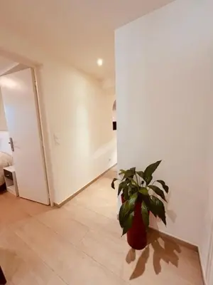 a hallway with a potted plant in a room at Agréable 2 pièces avec terrasse et jardin in Cannes
