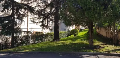 a grassy hill with trees in front of a building at Sunshine in Cannes in Cannes