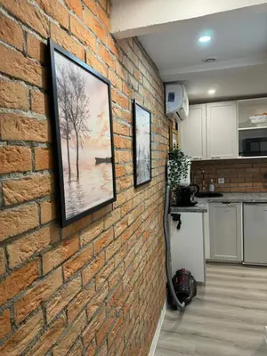 a brick wall with a picture hanging on it at Studio - Suquet Forville in Cannes