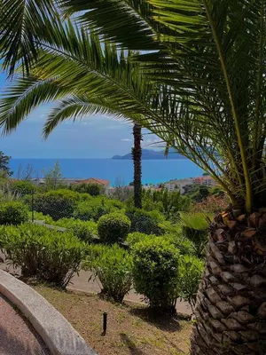 a palm tree in a garden with the ocean in the background at Superbe appartement in Cannes