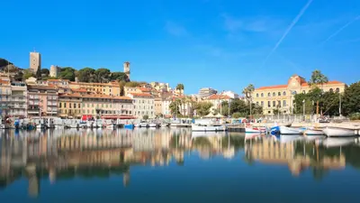 a group of boats are docked in a harbor at Residence Aout 21 in Cannes