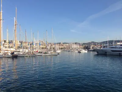 a bunch of boats docked in a harbor at Cannes, La Palme d'Or in Cannes