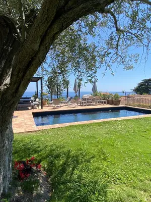 a swimming pool in a park with a tree at Kathleen CANNES-GOLFE JUAN in Vallauris