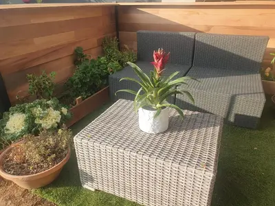 a potted plant sitting on a wicker bench on a patio at chambre jaccuzi vue mer in Le Cannet