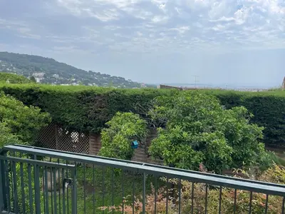 a fence in front of a hedge with bushes at Architect's house 100m2 sea view, terraces 35m2 in Le Cannet