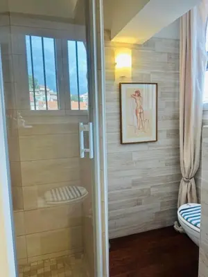 a bathroom with a shower and a toilet and a window at Appartement face mer LES PRINCES in Cannes