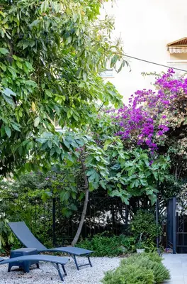 a park bench next to a tree with purple flowers at Maison 4pièces -Haut Standing CANNES in Cannes