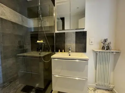 a bathroom with a sink and a shower at Cozy one bedroom apartment with balcony and parking in Cannes
