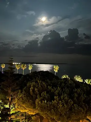a group of palm trees at night with the moon at Reflets d'Azur - Vue mer, plage, neuf, moderne in Cannes