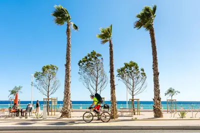 a person riding a bike down a sidewalk next to palm trees at Joséphines in Cannes